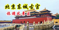 骚货逼太紧视频中国北京-东城古宫旅游风景区